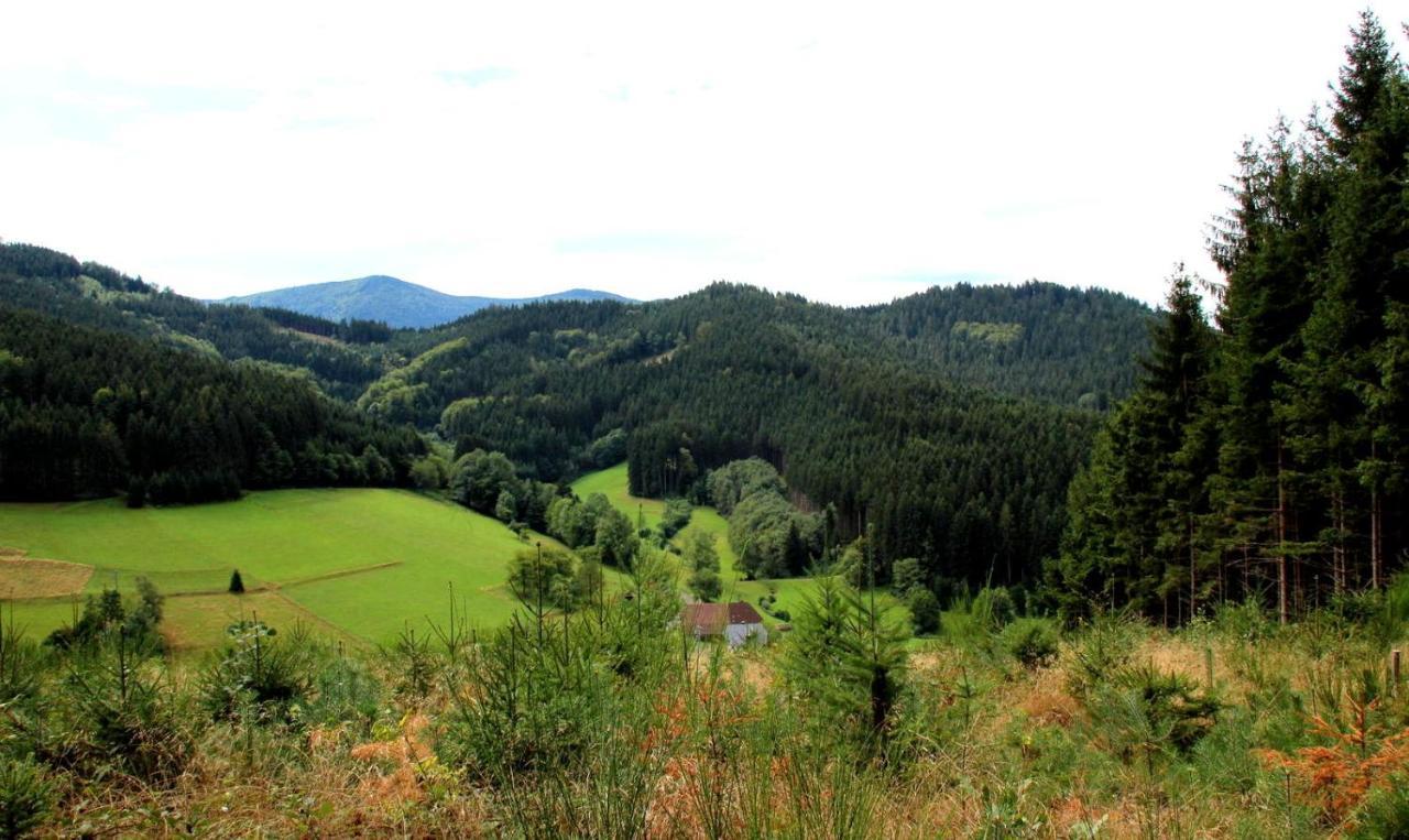 Дом в черном лесу!Gemütliches Haus im Herzen des Schwarzwaldes Ельцах Екстер'єр фото
