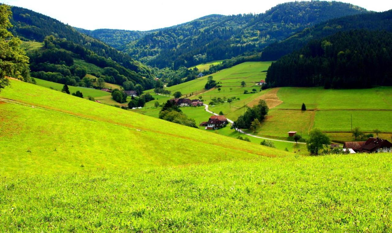 Дом в черном лесу!Gemütliches Haus im Herzen des Schwarzwaldes Ельцах Екстер'єр фото
