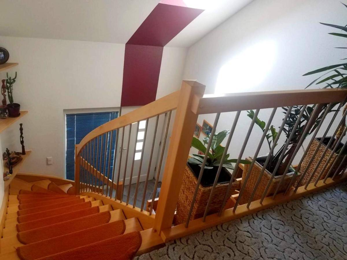 Дом в черном лесу!Gemütliches Haus im Herzen des Schwarzwaldes Ельцах Екстер'єр фото