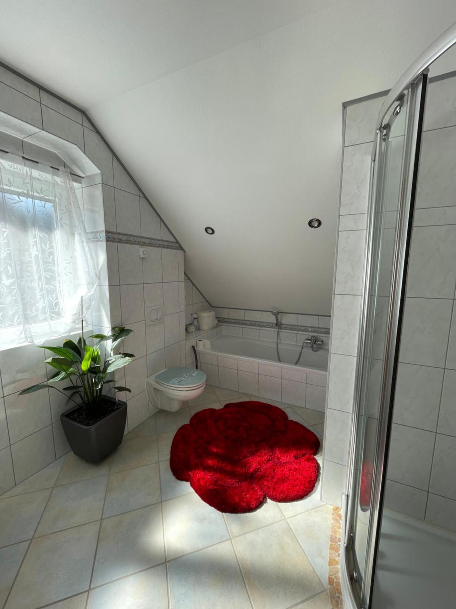 Дом в черном лесу!Gemütliches Haus im Herzen des Schwarzwaldes Ельцах Екстер'єр фото